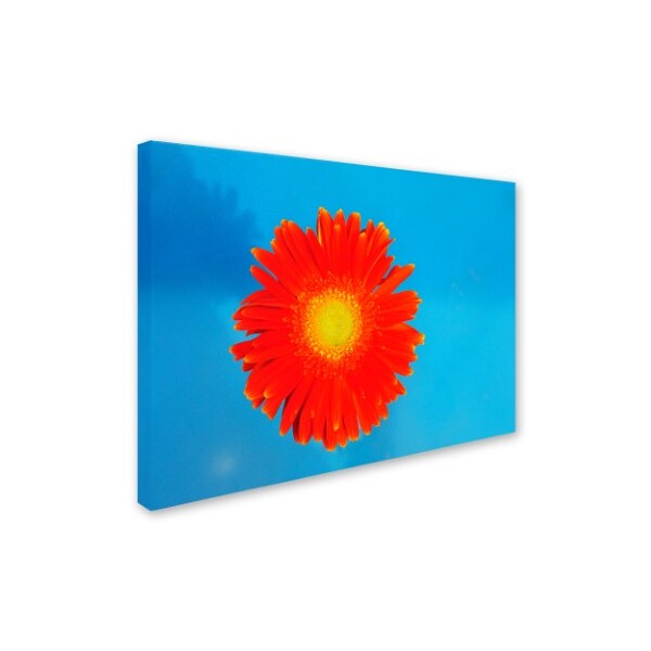 Kurt Shaffer 'Orange And Blue' Canvas Art,16x24